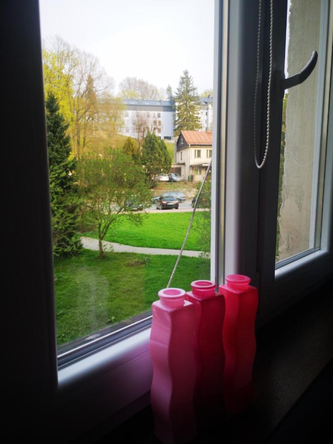 Apartment Wisienka