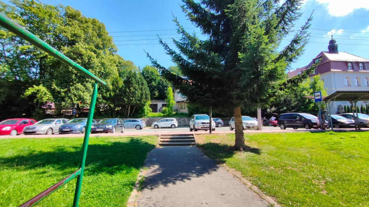 Wisienka